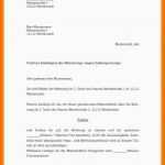 Allerbeste 17 Fristlose Kündigung Arbeitnehmer Vorlage