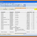 Allerbeste 9 Einnahmen Ausgaben Excel Vorlage Kleinunternehmer