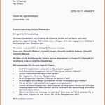 Allerbeste Neues Reklamation Muster