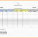 Allerbeste Trainingsplan Pferd Vorlage – Vorlagen Kostenlos