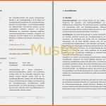 Allerbeste Vorlage Businessplan Gastronomie Genial Caf Businessplan