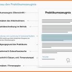 Am Beliebtesten 14 Praktikumsbescheinigung Vorlage Word