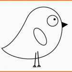 Am Beliebtesten Bastelvorlage Kleiner Vogel Die 25 Besten Ideen Zu Vogel
