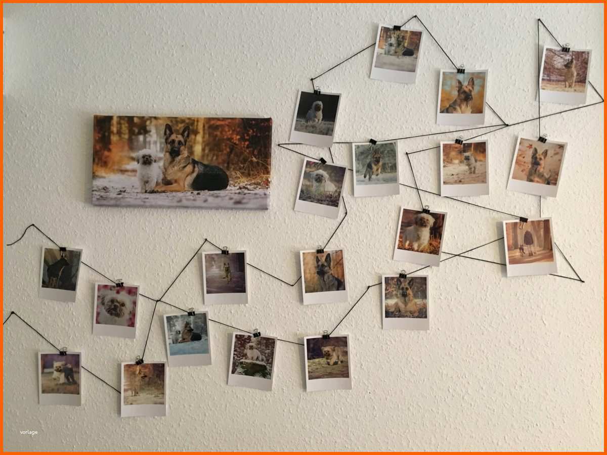 faden nagel bild vorlage 2072