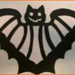 Am Beliebtesten Oliver S Blog Qualle Drache Fledermaus