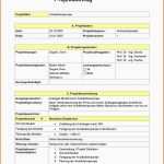 Am Beliebtesten Projektauftrag Sdegner284