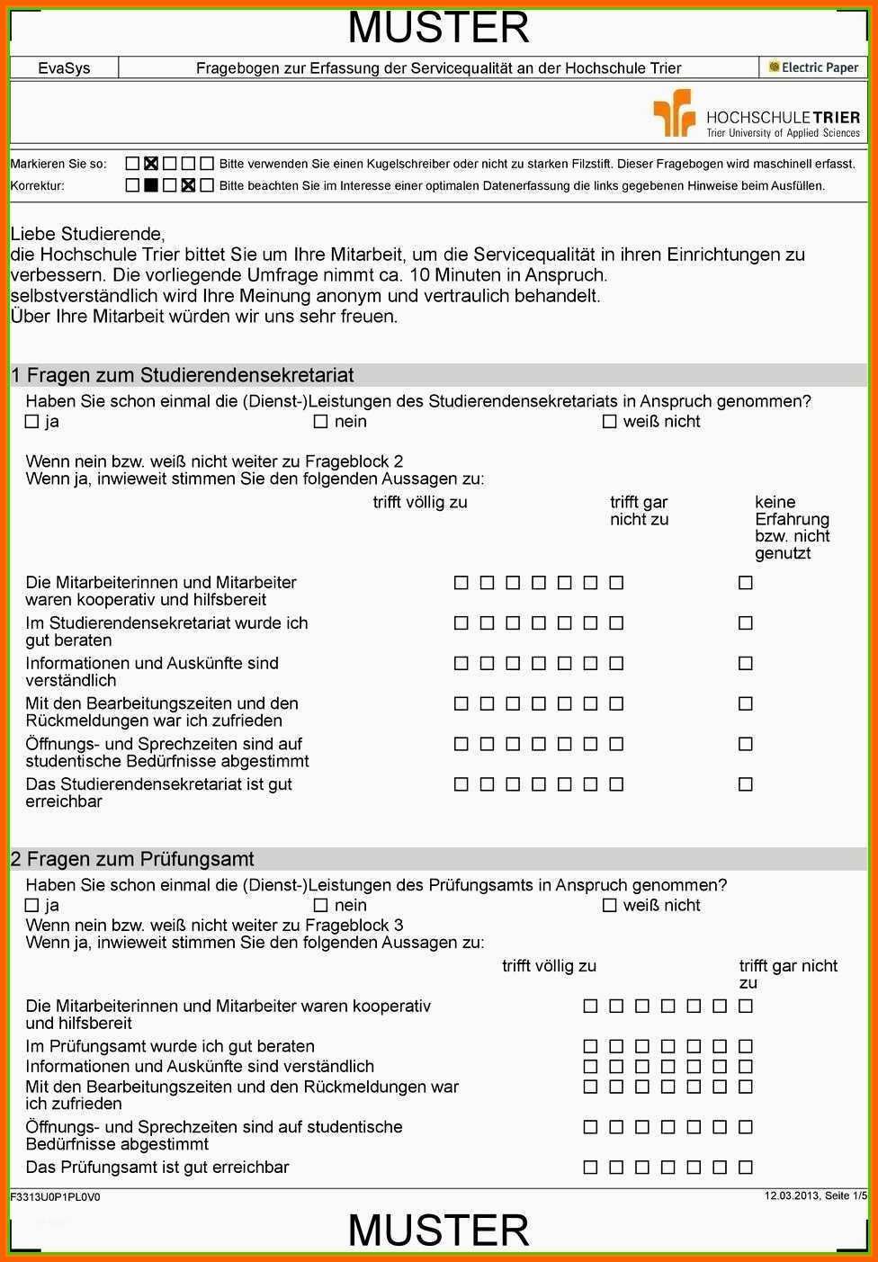 Angepasst 13 Fragebogen Erstellen Vorlage