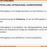 Angepasst 15 Eröffnungsbilanz Ug Vorlage