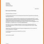 Angepasst 15 Steckbrief Neuer Mitarbeiter Vorlage