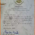 Angepasst 27 Besten Harry Potter Geburtstag Bilder Auf Pinterest
