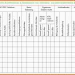 Angepasst Auditplan Auditprogramm iso 9001 Audit Plan