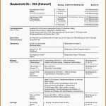 Angepasst Bautagebuch Excel