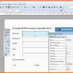 Angepasst Bestellformular Vorlage Excel Einzigartig Muster Tabellen