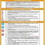 Angepasst Betriebsanweisung Word Vorlage – Wordde