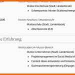 Angepasst Bewerbung Ausbildung Word Lebenslauf Muster Vorlage 10