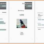 Angepasst Bewerbungsvorlagen Word 2010