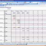Angepasst Bud Planung Excel Vorlage Zum Download