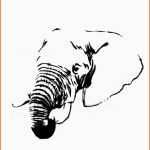 Angepasst Elephant Stencils Printable Google Search