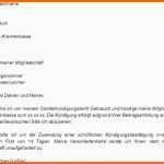 Angepasst Ergo Lebensversicherung Kündigen Vorlage – Pdfloadfree