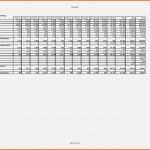 Angepasst Finanzplan Excel Vorlage Kostenlos