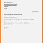 Angepasst Job Bewerbung Vorlage Gut 8 formlose Bewerbung Muster