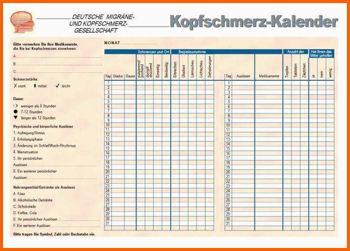 Angepasst Kopfschmerzkalender Download