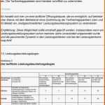 Angepasst Leistungsbeurteilung Mitarbeiter Vorlage Elegant Großartig