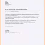 Angepasst Muster Kassenbericht Verein