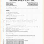 Angepasst Openoffice Lebenslauf Vorlage Puter Science Lebenslauf