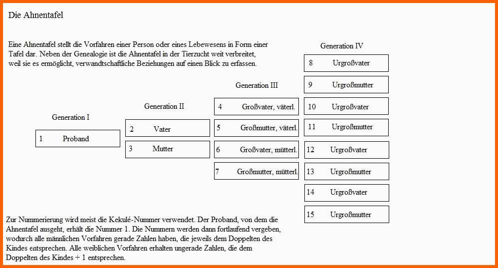 Angepasst Pin Ahnentafel Vorlage Und Diagramm Pinterest