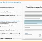 Angepasst Praktikumszeugnis formulierungen Inhalt Muster