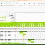 Angepasst Projektplan Excel