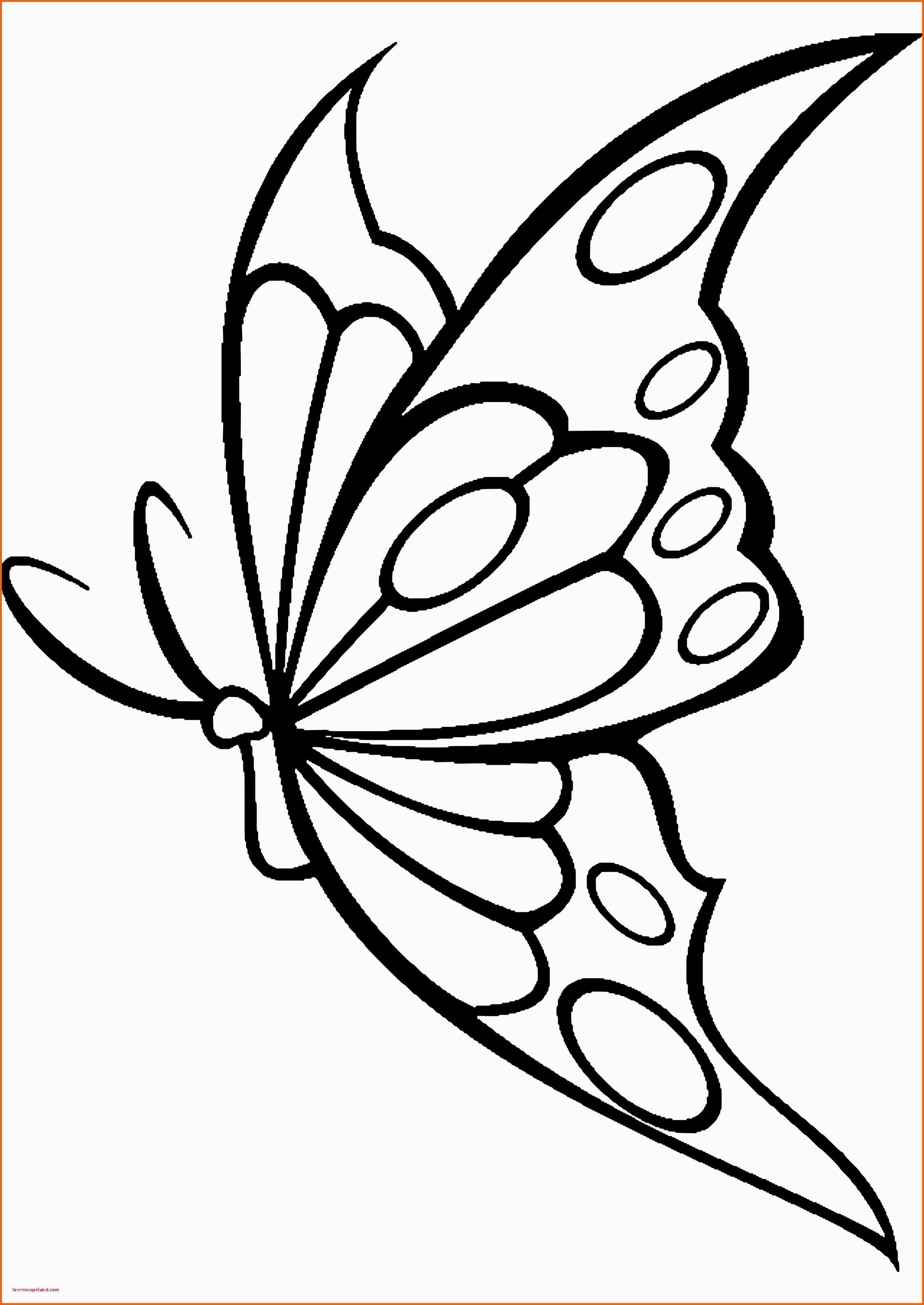 Angepasst Schmetterling Vorlage Zum Ausdrucken Bildergalerie