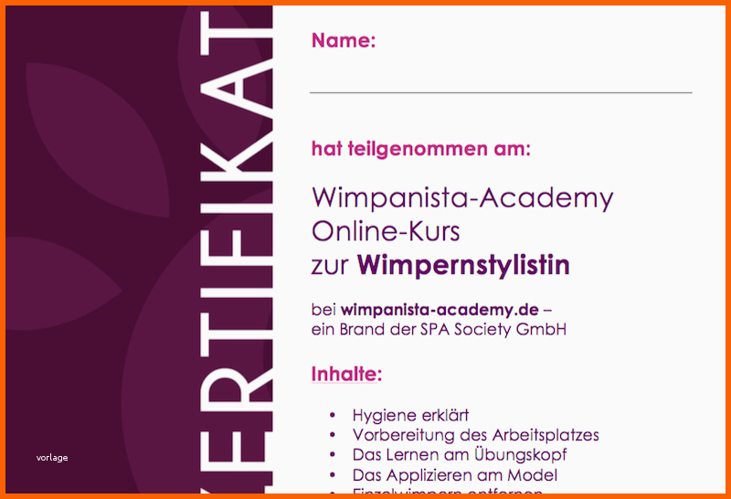 Angepasst Schulung Wimpernverlängerung Mit Wimpanista Academy