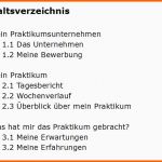 Atemberaubend 11 Praktikumsbericht Vorlage Schule 10 Klasse