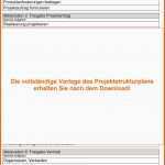 Atemberaubend 15 Projektantrag Muster