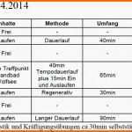 Atemberaubend 15 Trainingsplan Pferd Vorlage