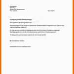 Atemberaubend 20 Bewerbungsflyer Vorlage Word