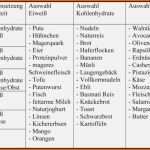 Atemberaubend 8 Ernährungsplan Vorlage