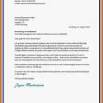 Atemberaubend Anschreiben Brief Vorlage Süß 8 Anschreiben Vorlage Word