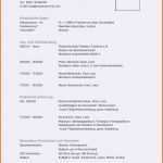 Atemberaubend Anschreiben Vorlage Word
