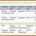 Atemberaubend Audit iso 9001 Das Systemaudit