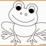 Atemberaubend Die Besten 25 Frosch Zeichnen Ideen Auf Pinterest