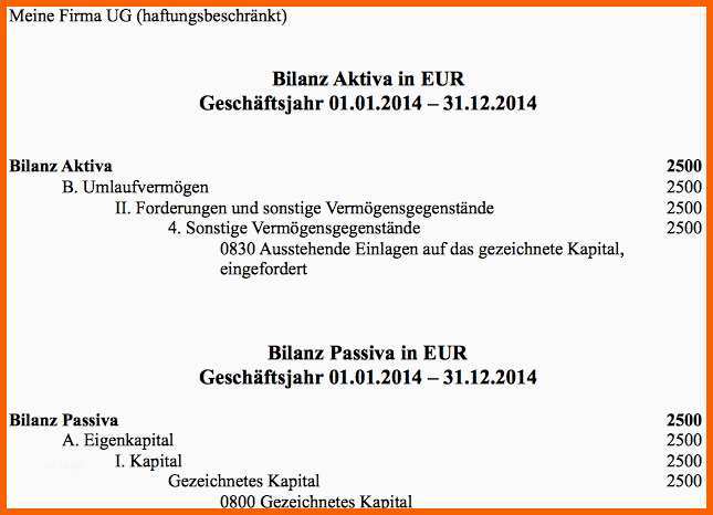 Atemberaubend Eroffnungsbilanz Vorlage Finanzamt Papacfo