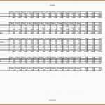 Atemberaubend Finanzplan Vorlage Für Businessplan Excel Kostenlos