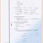 Atemberaubend Kündigungsschreiben Verein Vorlage