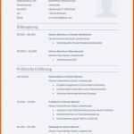 Atemberaubend Openoffice Vorlage Lebenslauf Die Fabelhaften Lebenslauf
