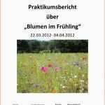 Atemberaubend Praktikumsbericht Deckblatt Praktikumsberichte