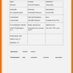 Außergewöhnlich 10 Steckbrief Vorlage Word