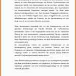 Außergewöhnlich 15 Fazit Facharbeit Beispiel